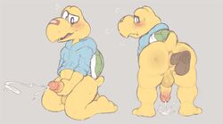 koopa from mario (series) by zackary911