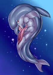 2017 absurd_res animal_genitalia animal_penis anus auto_penis_lick blue_background bubble cetacean cetacean_penis cum cumshot delphinoid ejaculation erection fin genital_slit hi_res licking male male_only mammal marine masturbation open_mouth oral oral_masturbation orgasm penile_masturbation penis pink_penis red_eyes saliva sharp_teeth simple_background slit solo tamanosuke tapering_penis teeth tongue tongue_out toothed_whale underwater water