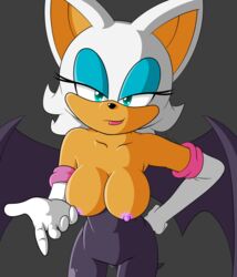 anthro areolae bat bat_ears bat_wings big_breasts blue_eyes breasts cleavage clothing color female mammal mechtech membranous_wings nipples rouge_the_bat sega sonic_(series) video_games white_fur white_hair wings