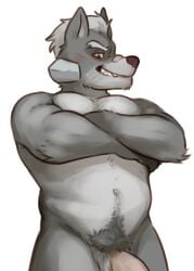 1boy animal_ears bara belly blush crossed_arms dog_nose english_commentary fangs flaccid furry furry_male glitter-trap-boy glitter_trap_boy grey_fur grin looking_at_viewer male_focus muscular muscular_male navel pectorals penis plump pubic_hair smile star_fox white_background wolf_boy wolf_ears wolf_o'donnell