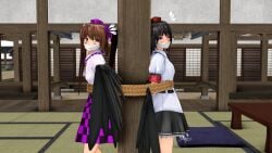 3d bondage bound bound_together gag hatate_himekaidou looking_at_viewer shameimaru_aya touhou twintails