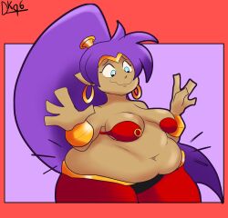 belly belly_fetish big_belly big_breasts breasts button_pop chubby_female cleavage daisykitty96 female shantae shantae_(character)