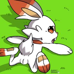 1girls 2019 armpits ass back borky-draws female female_only feral flat_chest fur furry furry_only grass hi_res lagomorph looking_at_viewer looking_back mammal naked nintendo nude outdoors pokémon_(species) pokemon presenting presenting_pussy pussy scorbunny simple_background solo spread_arms spread_legs spreading tail text video_games watermark white_fur