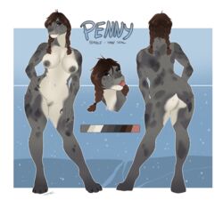 anthro ass breasts brown_hair chest_tuft claws compass_(artist) digitigrade female fur grey_fur hair hand_on_hip harp_seal hi_res mammal marine model_sheet nipples nude one_eye_closed pinniped pussy seal short_tail slightly_chubby solo standing tongue tongue_out tuft twintails whiskers wide_hips wink