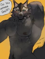 1boy abs animal_ears arm_behind_back armpit_hair armpits bark_man1 blush completely_nude english_commentary english_text furry furry_male highres looking_at_viewer male_focus muscular muscular_male nipples nude pectorals rolf_(world_flipper) sound_effects speech_bubble sweatdrop tail tail_wagging wolf_boy wolf_ears wolf_tail world_flipper yellow_background