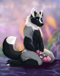 2026 absurd_res animal_genitalia animal_penis anthro aske_(tsarfox64) black_body black_fur blue_eyes canid canine canine_genitalia canine_penis erection fox fur genitals grey_body grey_fur hi_res holding_penis kinsheph knot looking_at_viewer male mammal neck_tuft nude pawpads penis red_fox silver_fox smile solo spotted_paws tail true_fox tuft
