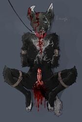 anthro blood bodily_fluids bondage bondage bound canid canine canis cock_and_ball_torture collar cum forced genital_fluids genital_torture genitals gore hi_res kolkolukija male mammal messy pain penis rape violence wolf