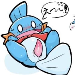 1:1 2026 animal_genitalia badwingm blue_body blush bodily_fluids cel_shading cropped digital_drawing_(artwork) digital_media_(artwork) empty_eyes erection feral flustered generation_3_pokemon genital_slit genitals low_res lying male male_feral monotone_body mudkip nintendo on_back open_mouth penis pokemon pokemon_(species) pokemon_mystery_dungeon quadruped rear_view scarf shaded simple_background solo spike_chunsoft sweat tapering_penis white_background