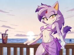 blaze_the_cat female pussy pussy_visible_through_clothes skwid sonic_(series) sonic_the_hedgehog_(series) tagme vagina vagina_visible_through_clothing
