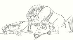 2018 anal anal_beads anal_sex animal_genitalia animal_penis ball_gag balls bondage bound cum drooling duo equid equine erection feral fur gag gagged hair hi_res horse lionsilverwolf male mammal open_mouth penetration penis saliva sex sex_toy yaoi