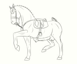 2018 absurd_res animal_genitalia ball_gag balls bondage bound bridle equid equine erection feral fur gag gagged genital_piercing hair hi_res horse lionsilverwolf male mammal open_mouth penis penis_piercing piercing prince_albert_piercing saddle scrotum_piercing solo