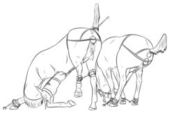 2018 anal anal_sex animal_genitalia anus bondage bound bridle duo equid equine facial_piercing female feral fur hair hi_res horse lionsilverwolf mammal monochrome nose_piercing open_mouth penetration piercing pussy sex_toy vaginal_penetration