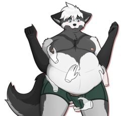 2018 absurd_res alpha_channel anthro belly belly_grab belly_rub big_belly black_fur blue_eyes blush bulge canid canine canis clothed clothing disembodied_hand erection fox fur grey_fur grope hair hi_res looking_down male mammal moobs nipples obese obese_male open_mouth overweight overweight_male pacato penis penis_grab penis_outline raised_arm simple_background thefoxydragon topless transparent_background underwear vein veiny_penis white_fur white_hair