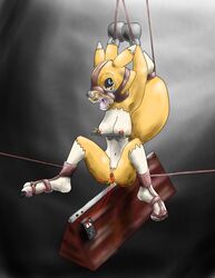 anthro bondage bound breasts clitoris_piercing digimon digimon_(species) doopnoop_(artist) electrostimulation female hi_res nipple_piercing nipples pain pussy pussy_torture renamon solo sweat tickle_torture tickling torture wooden_horse