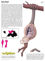 eaten_then_fucked from_behind glasses impregnation inside_creature internal_view interspecies interspecies_impregnation lore monster monster_on_female professor_ashley_(ttp) sci-fi tentacle tentacle_sex the_tentacle_professor vore vore_sex x-ray xray_view