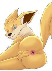 anus ass balls canid canine damian5320 fennec fox hi_res male male_only mammal one_eye_closed paladins perineum pip_(paladins) solo wink