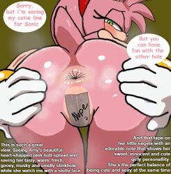 amy_rose anthro anus ass bbehind_view big_butt blush bodily_fluids butt_focus clothing dialogue dirty_ass english_text eulipotyphlan faktun female female_focus first_person_view flower genitals gloves green_eyes hair handwear hedgehog huge_butt looking_at_viewer looking_back low-angle_view maebari male male/female mammal medium_hair narrowed_eyes naughty_face note nude open_mouth perineum pink_hair plant presenting presenting_anus puckered_anus sega slim smell smelly_anus smile smiley_face smug solo sonic_(series) sonic_the_hedgehog_(series) speech_bubble spread_butt spreading steam steaming_body sweat tail tape tape_maebari text vulva