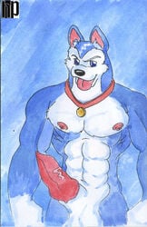 abs anthro canine dog exile front_view fur male male_only mammal nipples nude penis road_rovers solo tagme