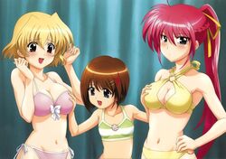 hayate_yagami mahou_shoujo_lyrical_nanoha_strikers shamal signum tagme