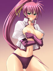 1girls black_panties bottomless breast_hold breast_squeeze breasts elbow_gloves female fingerless_gloves gloves green_eyes hair_ribbon ichimedoo long_hair lyrical_nanoha mahou_shoujo_lyrical_nanoha mahou_shoujo_lyrical_nanoha_a's mahou_shoujo_lyrical_nanoha_strikers nipples no_bra open_clothes open_shirt panties ponytail purple_hair purple_panties ribbon shirt signum solo tear tied_hair underwear very_long_hair