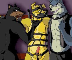 abs anthro balls blitz bound canine clothing dog exile fur furry furry_only hunter_(road_rovers) male male_only mammal multiple_males no_humans nude penis road_rovers yaoi