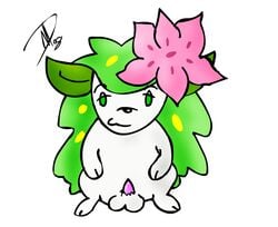 color feral flower front_view fur male male_only md nude penis pokemon pokemon_(species) shaymin shaymin_(land_form) solo standing tagme white_fur