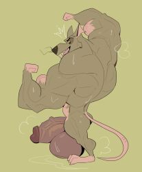 anthro back_muscles balls bara barazoku biceps big_balls big_muscles big_penis boner erection flexing furry huge_balls huge_cock huge_penis hyper_balls madagascar_(series) male male_only muscles muscular musk musk_clouds nude penis rat rat_king_(madagascar) rodent smile smiling smiling_at_viewer solo solo_male sweat sweating tail the_penguins_of_madagascar thick_penis vaniwall vein veins veiny_muscles veiny_penis