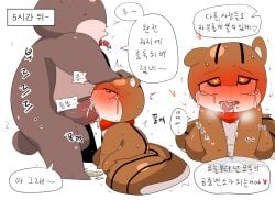 anthro balls bear big_balls blush bodily_fluids cum cum_in_mouth cum_inside duo fellatio female forced genital_fluids genitals korean_text male male/female mammal meringue_(pixiv) oral overweight overweight_male penile rape rodent sciurid sex sweat text tree_squirrel