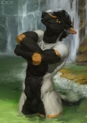 1boy 2019 animal_genitalia anthro balls black_fur black_hair black_lips canid canine canis day detailed_background digitigrade fox fur hair honovy hybrid male male_only mammal muscular muscular_male outside partially_submerged penis sheath smile solo water wolf zaccai