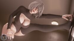 3d barefoot big_ass big_breasts big_butt big_thighs blue_eyes feet female full_color gym gym_clothes gym_uniform image image_set nier:_automata no_penetration short_hair soles stirrup_legwear toeless_legwear toes trsensualstudio watermark wet wet_body wet_skin white_hair yoga yoga_pose yorha_2b