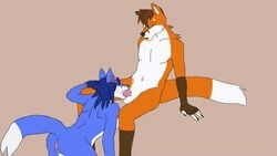 1boy 1girls animated anthro anthro_on_anthro ass breasts canine cum duo fellatio female fox furry hair male mammal mort3l oral penis straight