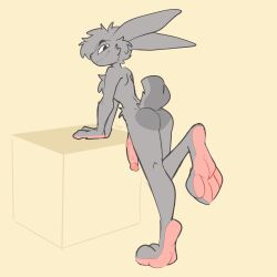 absurd_res anthro balls bedroom_eyes cheek_tuft chest_tuft erection facial_tuft fur genitals grey_body grey_fur half-closed_eyes hi_res humanoid_genitalia humanoid_penis inviting lagomorph leporid looking_at_viewer looking_back looking_back_at_viewer male mammal multicolored_body multicolored_fur narrowed_eyes penis rabbit raised_foot seductive simple_background smile smirk smug smug_face solo tuft two_tone_body two_tone_fur vein veiny_penis xing1 yellow_background