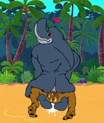 anthro ass balls blue_sky brown_body cum cum_in_ass cum_inside gay gray_body jungle male male_only muscular muscular_anthro paws penetration penis red_eyes sand shark sharko tagme testicle yellow_eyes zig_(zig_and_sharko) zig_and_sharko