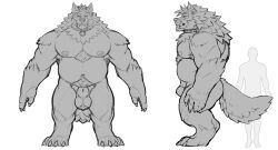 1boy 5_fingers animal_genitalia anthro areola balls biped bruno_(rossciaco) canid canine canis claws collar fangs fingers fur genitals hi_res male mammal monochrome muscular muscular_anthro muscular_male nipples paws pecs rossciaco sheath simple_background spiked_collar spikes tail teeth white_background wolf