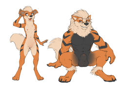 arcanine from nintendo by adam wan