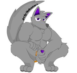 2019 alpha_channel animal_genitalia animal_penis anthro balls briefs canine_penis clothing clothing_aside fur male male_only mammal muscular muscular_male notkastar penis penis_through_fly poking_out sheath signature simple_background text underwear underwear_aside zatch_(character)