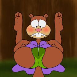 bikini brown_body brown_fur buckteeth furry legs_over_head nickelodeon nicktoons paramount_pictures parody sandy_cheeks spanky15 spongebob_squarepants spongebob_squarepants_(series) squirrel viacom wet wet_pussy