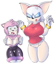 2d 2girls amy_rose amy_rose_(cosplay) amy_the_bat breasts curvy mobian mobian_(species) mobian_bat rouge_rose rouge_the_bat rouge_the_bat_(cosplay) sega sonic_(series) sonic_adventure_2 sonic_the_hedgehog_(series) tights