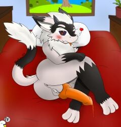 absurd_res anthro anus aroused ass balls bed blep blush bodily_fluids cheek_tuft dankbudgie dragon facial_tuft fan_character feet fluffy fluffy_tail fur furniture furred_dragon furred_scalie genital_fluids genitals hi_res hole_(anatomy) hybrid knot knotted_penis male mythological_creature mythological_scalie mythology on_bed orange_eyes penis precum scalie solo tail tongue tongue_out tuft