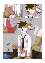 anal anal_sex canine_penis comic cumshot dildo ejaculation fennec knot lube partly_clothed penetration penis precum riding solo tie tired x-ray