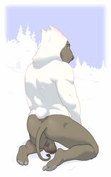 9x9 anthro ass backsack balls bottomless bovid bovine bruised clothed clothing cock_and_ball_torture easter hi_res holidays hoodie kneeling looking_at_viewer male male_only mammal muscular snow solo true_buffalo water_buffalo