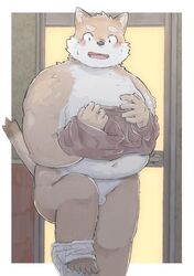 2019 anthro balls belly blush canid canine canis chocobibear clothing cute_fangs domestic_dog hi_res humanoid_hands male male_only mammal moobs navel overweight overweight_male penis shirt solo topwear underwear undressing