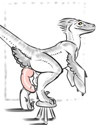 2023 3_fingers 4:5 4_toes adeer animal_genitalia bent_leg biped bipedal_feral claws cloaca cloacal_penis digitigrade dinosaur dinosaur_pelvis dromaeosaurid erection feathered_crest feathered_dinosaur feathered_scalie feathers feet feral fingers genitals head_crest hi_res knot knotted_penis looking_at_viewer male male_only partially_colored penis pink_penis reptile scalie sickle_claw side_view solo standing step_pose step_stool tail theropod three-quarter_view toe_claws toes winged_arms wings yellow_eyes