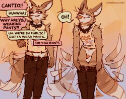 2024 anthro balls biped blep bottomwear bottomwear_down brown_body brown_fur canid canine canis cantio_(lawyerdog) closed_eyes clothed clothing collar countershade_torso countershading coyote dialogue digital_media_(artwork) english_text flaccid fur genitals humanoid_genitalia humanoid_penis lawyerdog male male_anthro mammal multicolored_body multicolored_fur pants pants_down partially_clothed penis shirt solo speech_bubble spiked_collar spikes tail tail_motion tailwag tank_top text tongue tongue_out topwear white_body white_fur