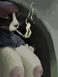 anthro big_breasts black_body blue_clothing breasts cigarette cigarette_in_mouth clothed clothing clothing_lift domestic_cat drugs felid feline felis female hi_res hoodie huge_breasts looking_at_viewer mammal marijuana nipples object_in_mouth pink_nipples rentressy showing_off_breasts smoke smoking topwear tuxedo_cat