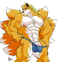 absurd_res anthro bulge canid canine clothing cum cum_through_clothing daikitei facial_hair fox goatee hi_res humanoid_penis looking_at_viewer male male_only mammal muscular muscular_male pecs penis penis_base solo underwear vein wet wet_clothing