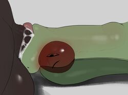 flygon from nintendo by clade