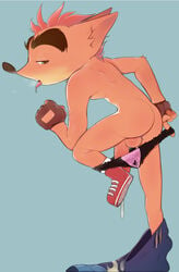 anthro ass balls bandicoot bluesnesscasual clothing crash_(series) crash_bandicoot male male_only mammal marsupial naughty_dog panties penis solo sony_corporation sony_interactive_entertainment underwear video_games