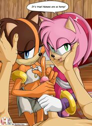amy rose from sonic (series) by rankerhen