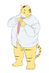 2024 anthro balls belly clothing felid flaccid genitals hi_res humanoid_hands kemono konbu male mammal necktie overweight overweight_male pantherine penis shirt simple_background solo tiger topwear white_background yellow_body